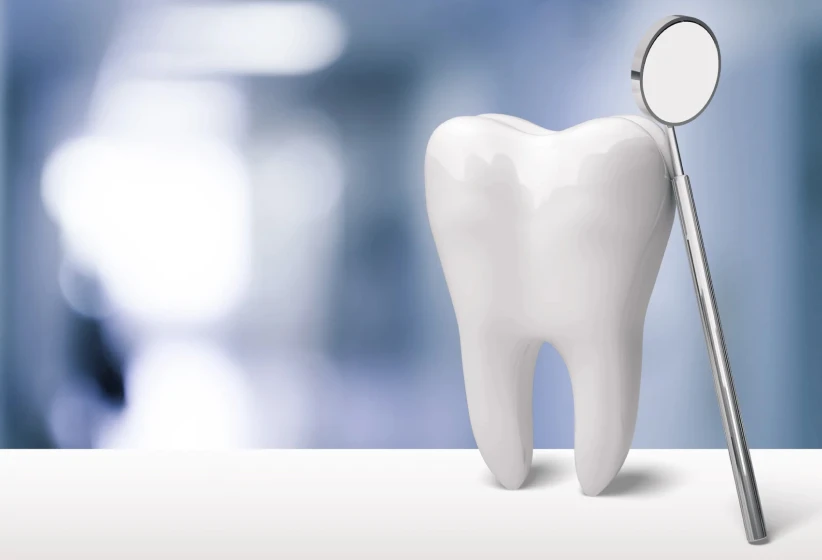 隣の歯を痛めにくい