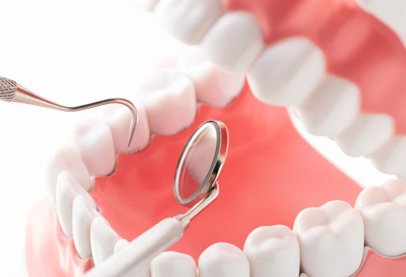 定期ケアで長持ち