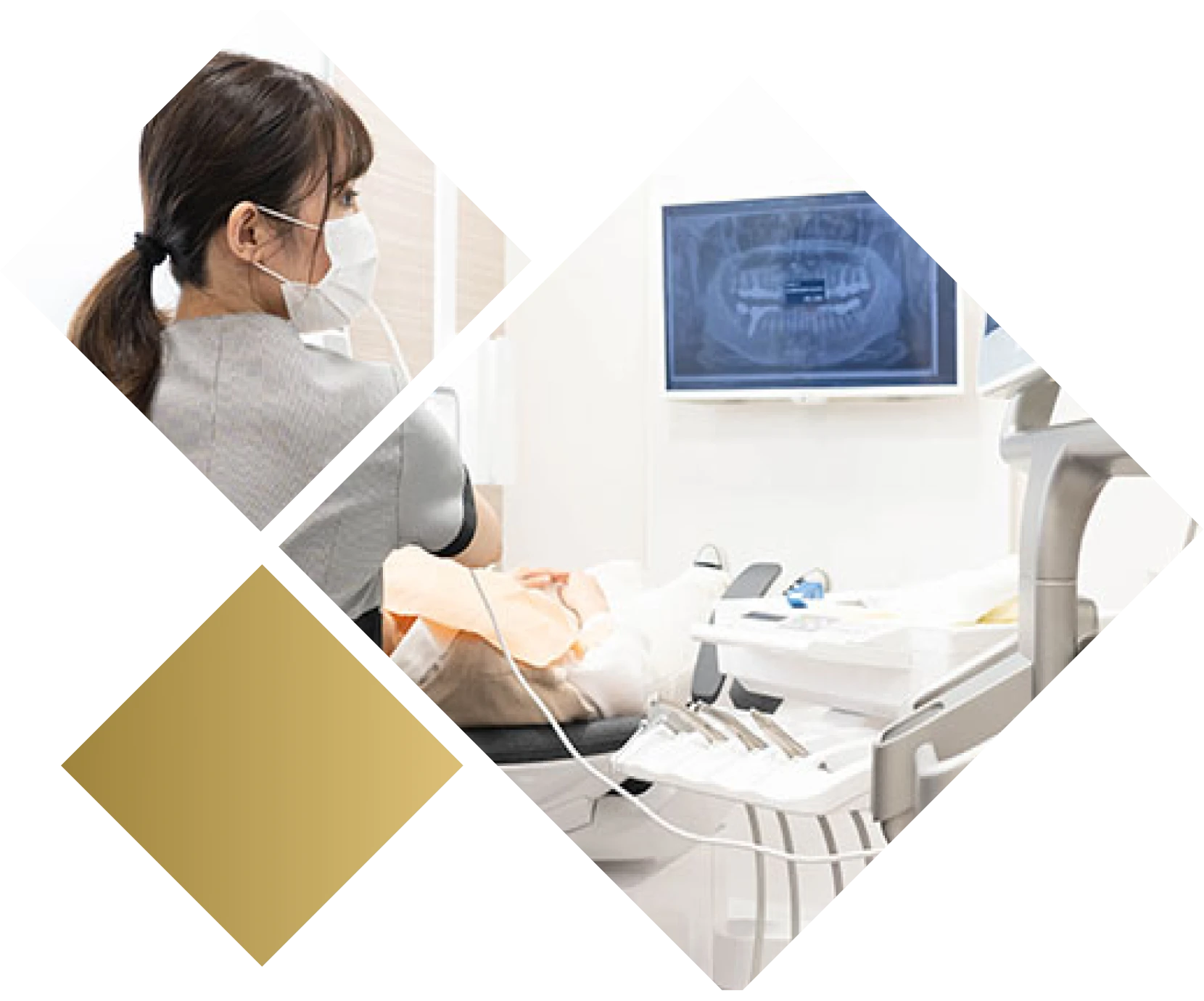 わかりやすさと継続的なサポートで治療後も安心